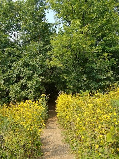 Eloise Butler Wildflower Garden